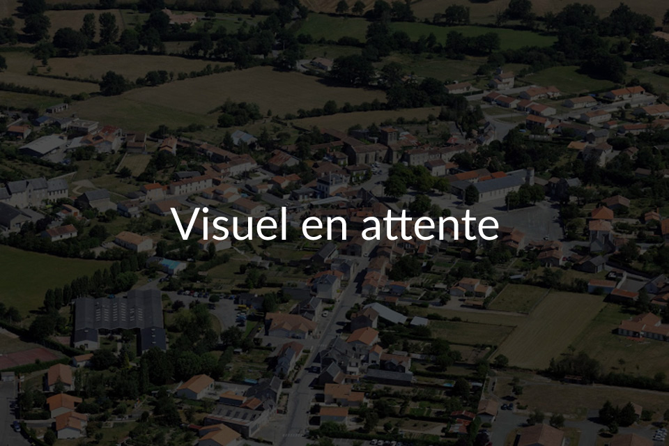 Le Social à vos côtés - Céline Romancant